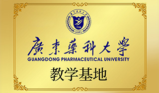 V|ˎƴW(xu)Rt(y)W(xu)̌W(xu)